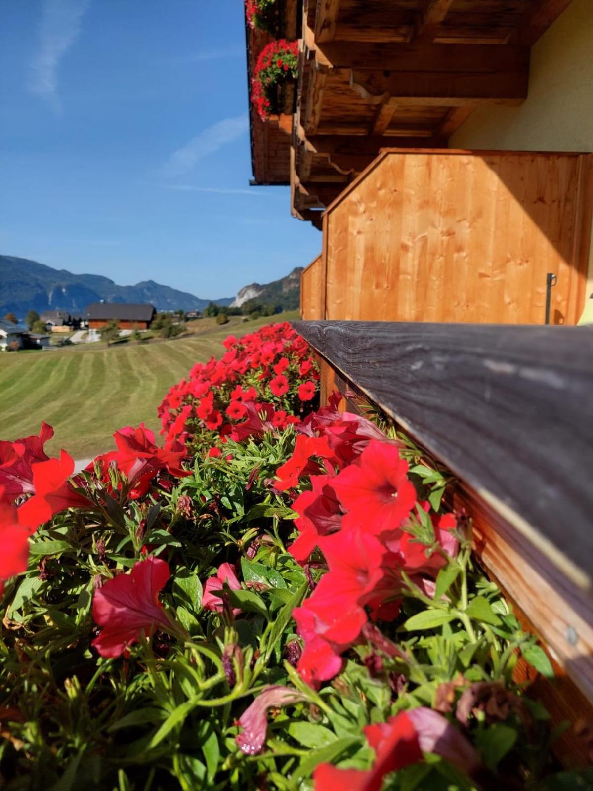 Haus Hoedlmoser Sankt Wolfgang im Salzkammergut Luaran gambar