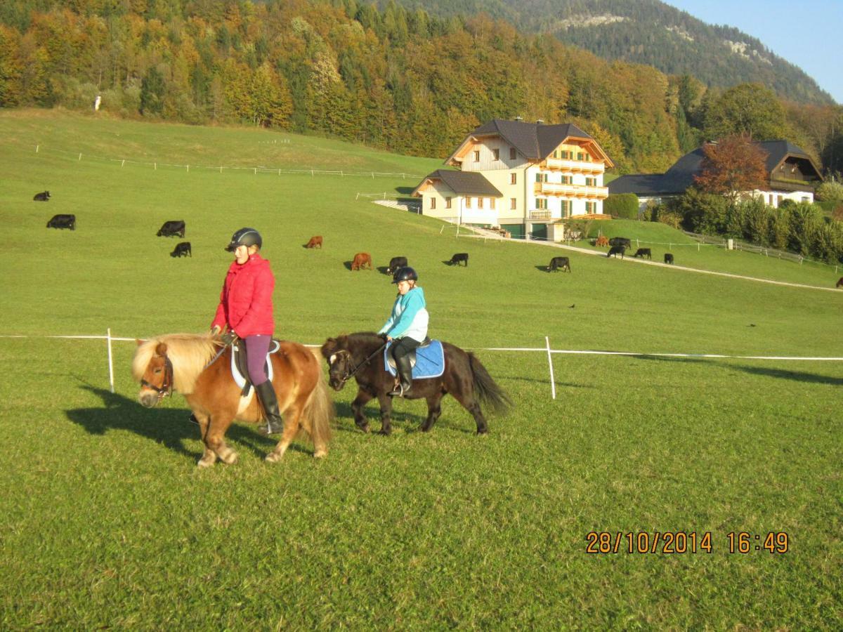 Haus Hoedlmoser Sankt Wolfgang im Salzkammergut Luaran gambar